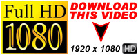 Visit Dildos HD